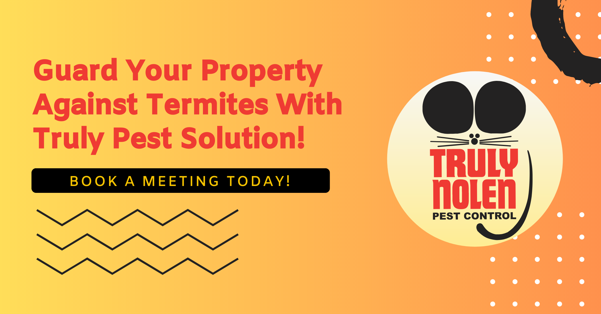 Guard-Your-Property-Against-Termites-With-Truly-Pest-Solution_