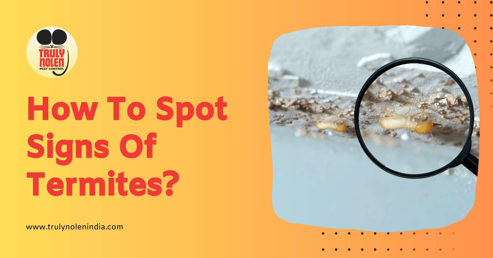 How-To-Spot-Signs-Of-Termites