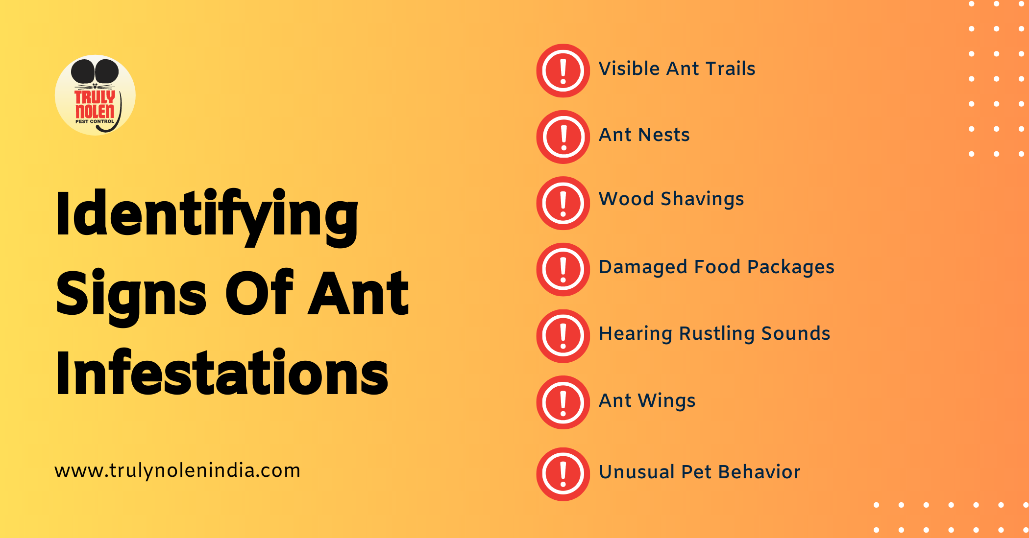 Identifying-Signs-Of-Ant-Infestations