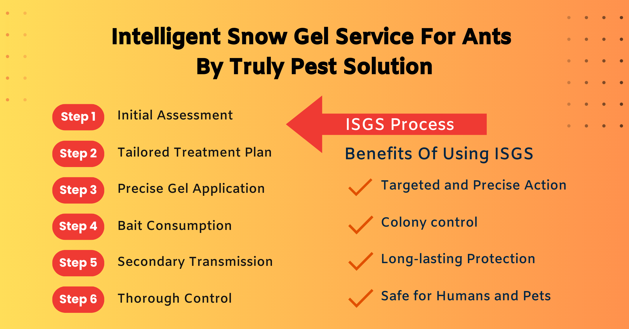 Intelligent-Snow-Gel-Service-For-Ants-By-Truly-Pest-Solution