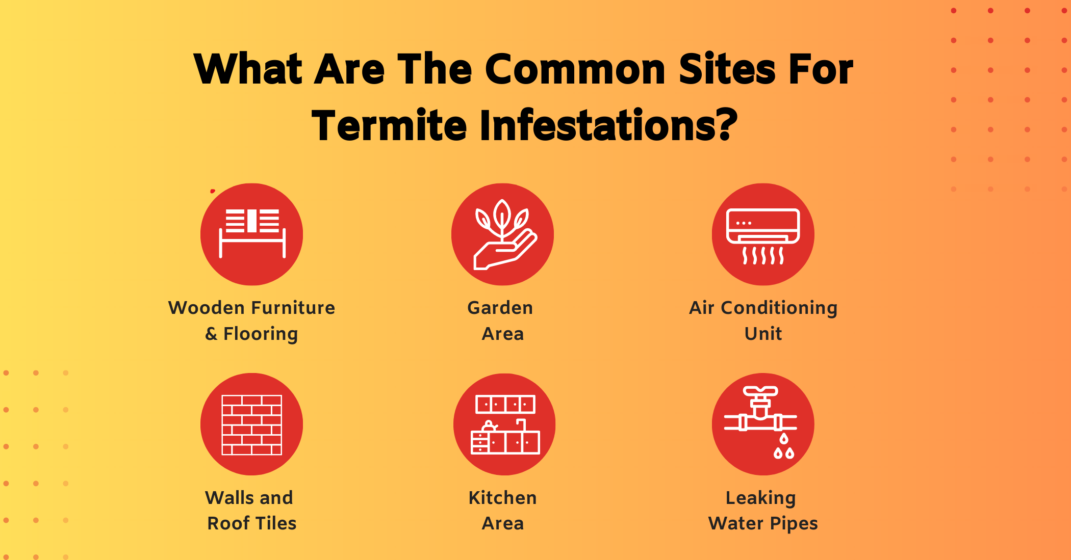 What-Are-The-Common-Sites-For-Termite-Infestations