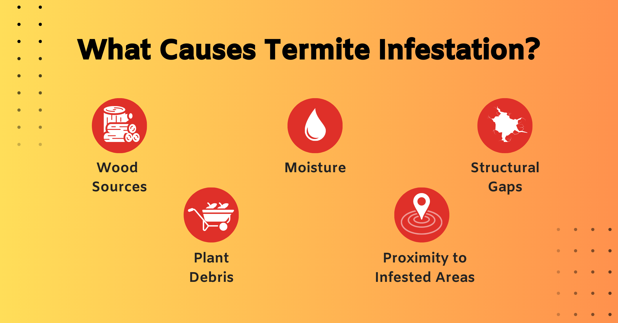 What-Causes-Termite-Infestation