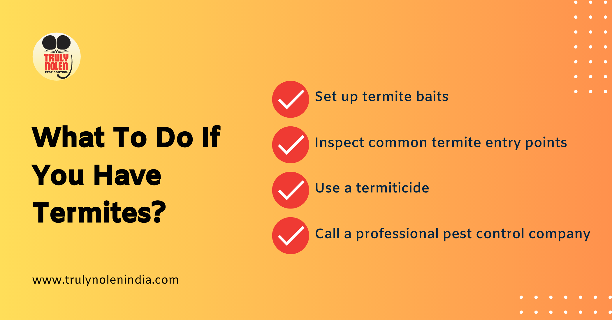 What-To-Do-If-You-Have-Termites